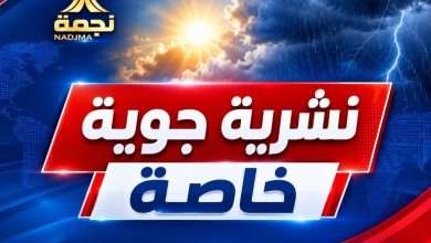 نشرية جوية خاصة